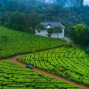 *** Station touristique Tea Harvester Inde